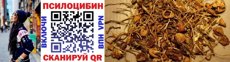 Псилоцибиновые грибы Psilocybine cubensis  даркнет сайт  мега ТОР  Ленинградская 