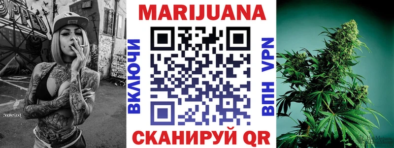 Бошки марихуана сатива  Ленинградская 